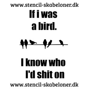 citat "if i was a bird"