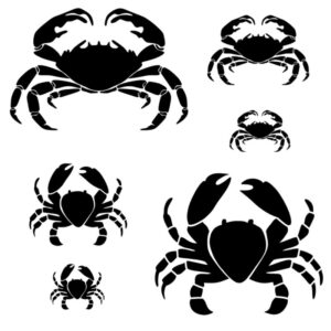 Krabbesæt stencil med to forskellige designs i tre størrelser – til maling og strandtema
