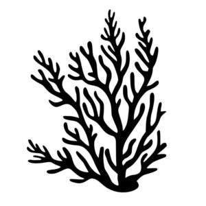 Stencil skabelon af forgrenet koral eller havplante til vægdekoration.