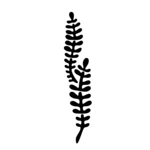 Tang stencil med opretstående ranke – skabelon til maling og kreativ dekoration i havtema.
